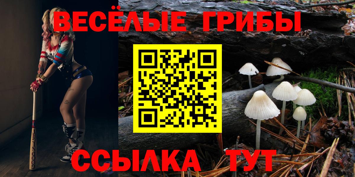 Псилоцибиновые грибы GOLDEN TEACHER Норильск