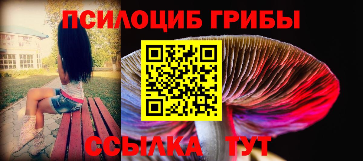 как найти наркотики  Галлюциногенные грибы Psilocybine cubensis  Галлюциногенные грибы прущие грибы  Вход с VPN  Норильск 